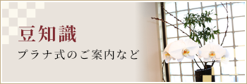 豆知識